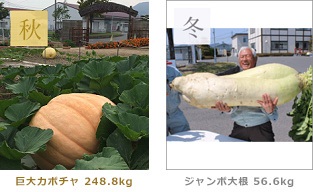 秋冬画像