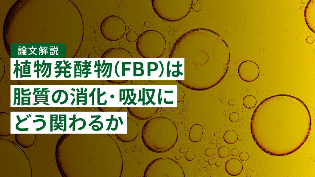 【論文解説】植物発酵物（FBP）に含まれるEV様ナノ粒子は体重増加や脂質の消化・吸収にどう関わるか｜マウスで調べた研究