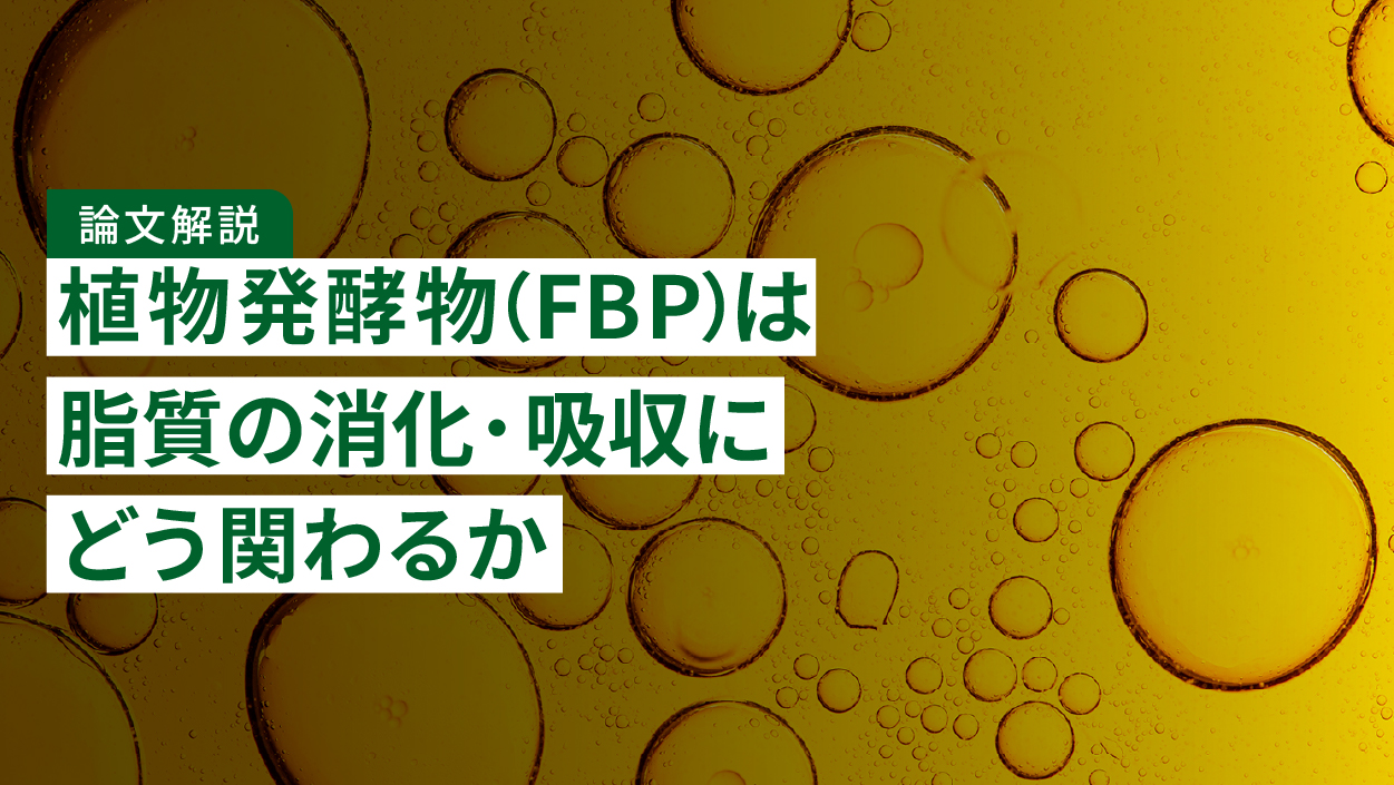 【論文解説】植物発酵物(FBP)に含まれるEV様ナノ粒子は体重増加や脂質の消化・吸収にどう関わるか|マウスで調べた研究