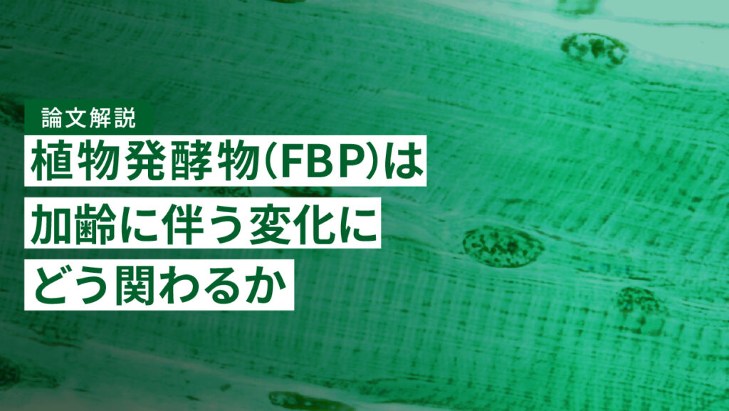 【論文解説】植物発酵物（FBP）は加齢に伴う変化にどう関わるか｜ショウジョウバエで調べた研究