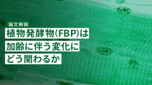【論文解説】植物発酵物（FBP）は加齢に伴う変化にどう関わるか｜ショウジョウバエで調べた研究