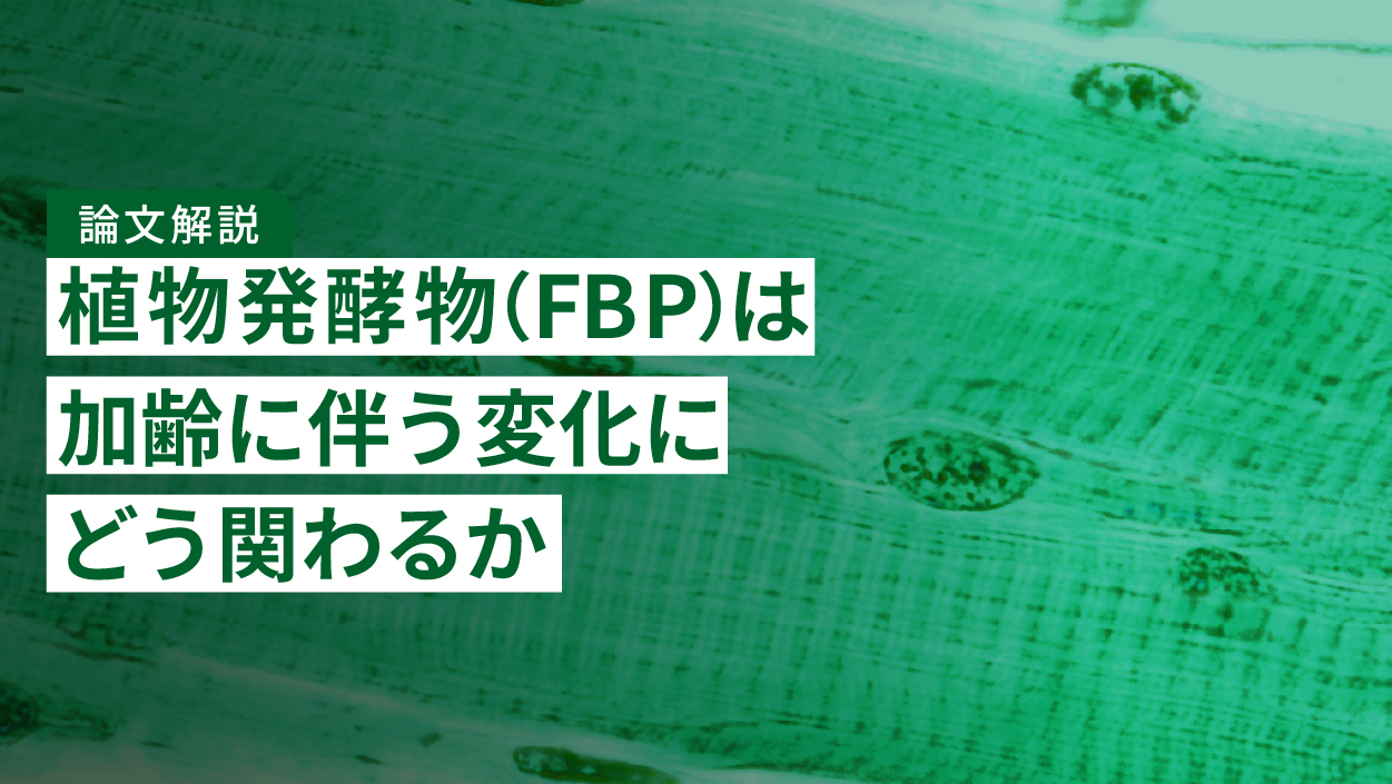 【論文解説】植物発酵物（FBP）は加齢に伴う変化にどう関わるか｜ショウジョウバエで調べた研究