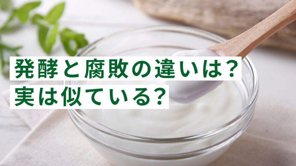 発酵と腐敗の違いは？