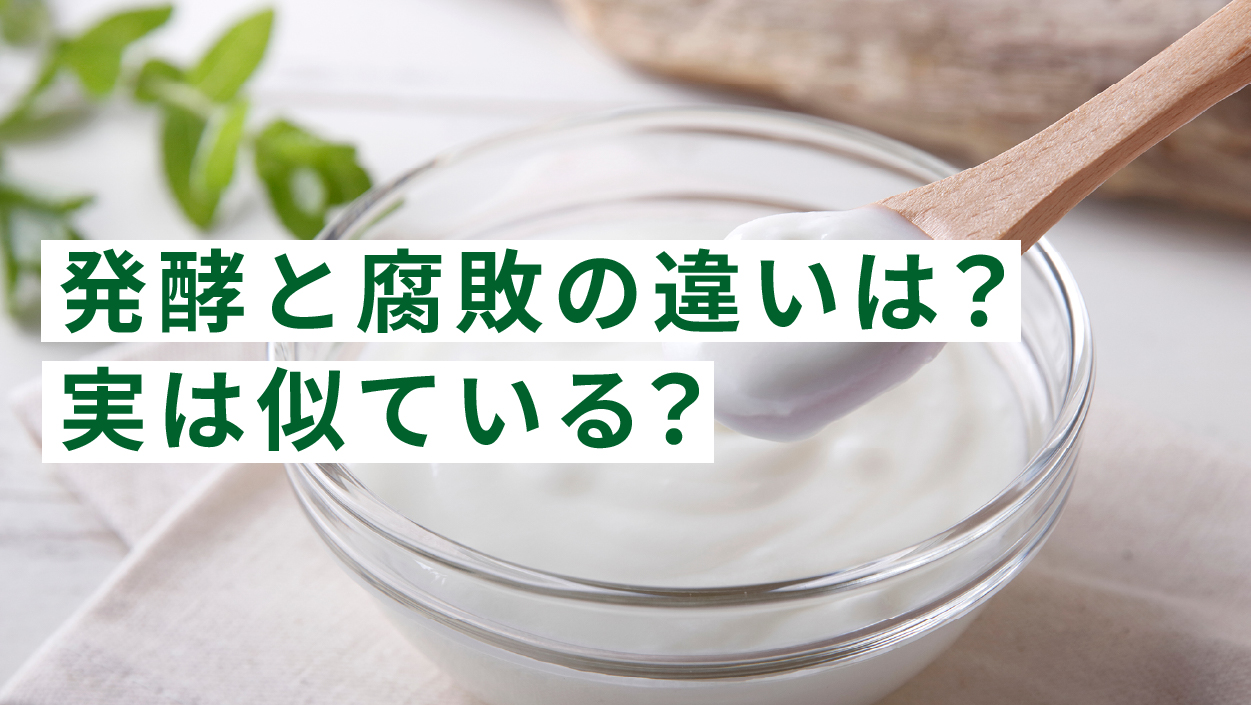 発酵と腐敗の違いは?