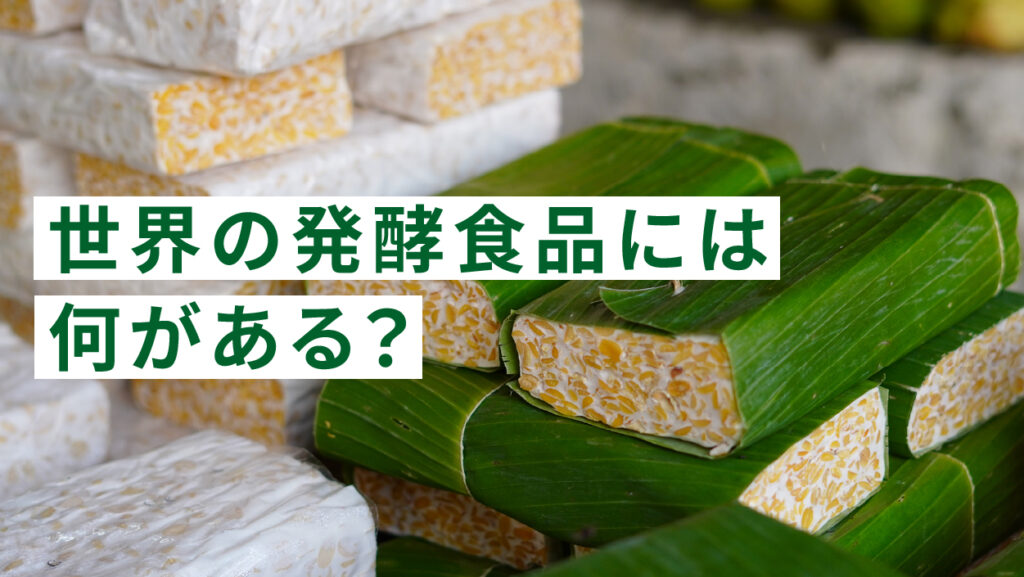世界の発酵食品には何がある？