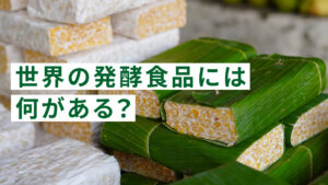 世界の発酵食品には何がある？