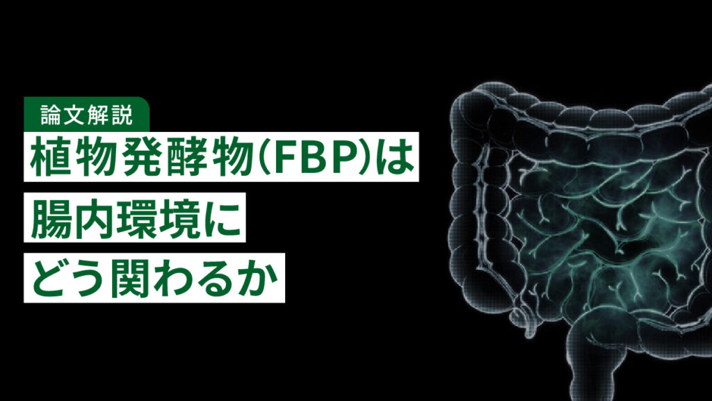 【論文解説】植物発酵物（FBP）は腸内環境にどう関わるか｜高脂肪食ラットで調べた研究