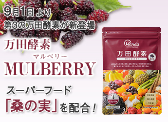 万田酵素 MULBERRY