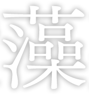 藻