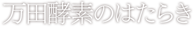 万田酵素のはたらき