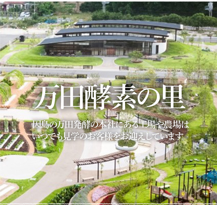 因島の万田発酵の本社にある工場や農場はいつでも見学のお客様をお迎えしています。